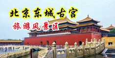 狂干女大学生的小屁屁黄色视频中国北京-东城古宫旅游风景区